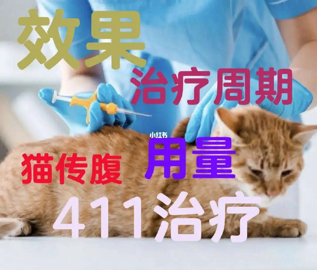 猫传腹411多少钱(猫传腹gs441524价格)