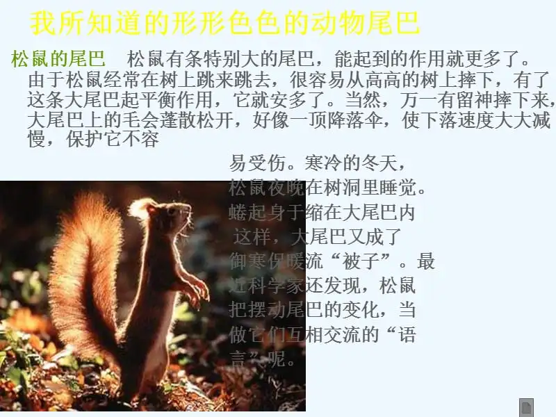 熊猫的尾巴有什么作用(熊猫的尾巴用来干什么的)