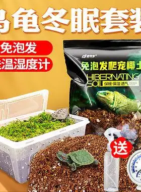 乌龟冬眠过冬用品(乌龟冬眠准备什么食物)