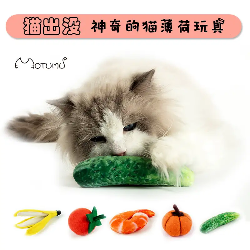 猫玩具有猫薄荷(猫玩猫薄荷流口水怎么办)