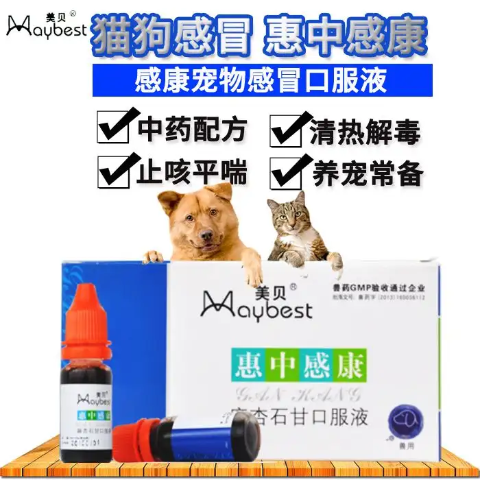 大狗狗感冒吃什么药(狗狗感冒吃什么药合适)