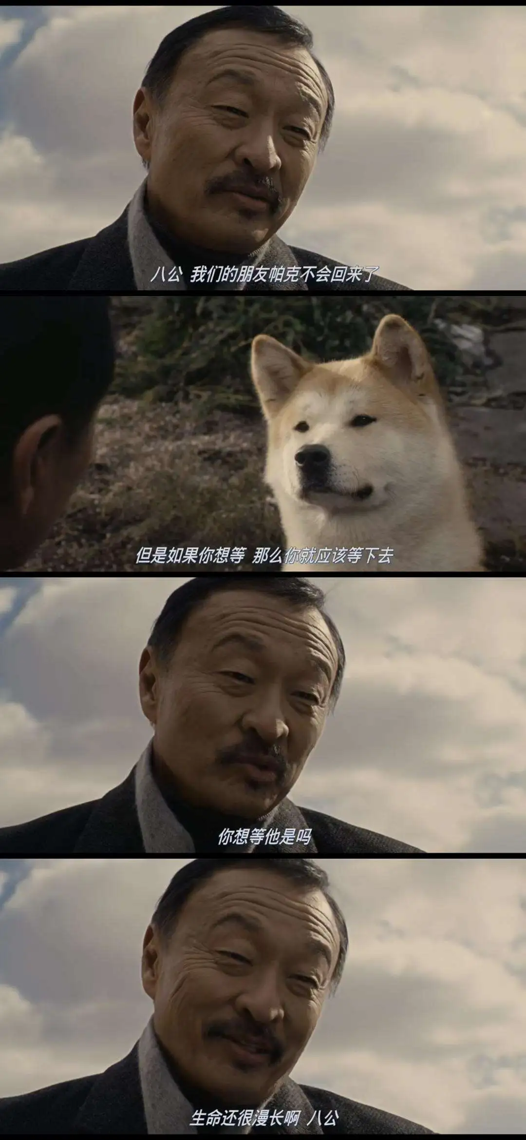 忠犬八公的故事(忠犬八公的故事在线观看完整免费)