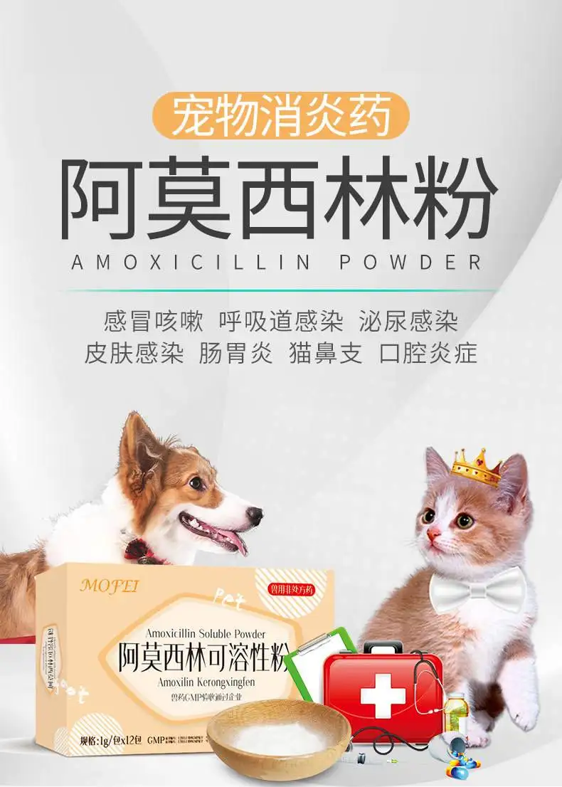 大狗狗感冒吃什么药(狗狗感冒吃什么药合适)