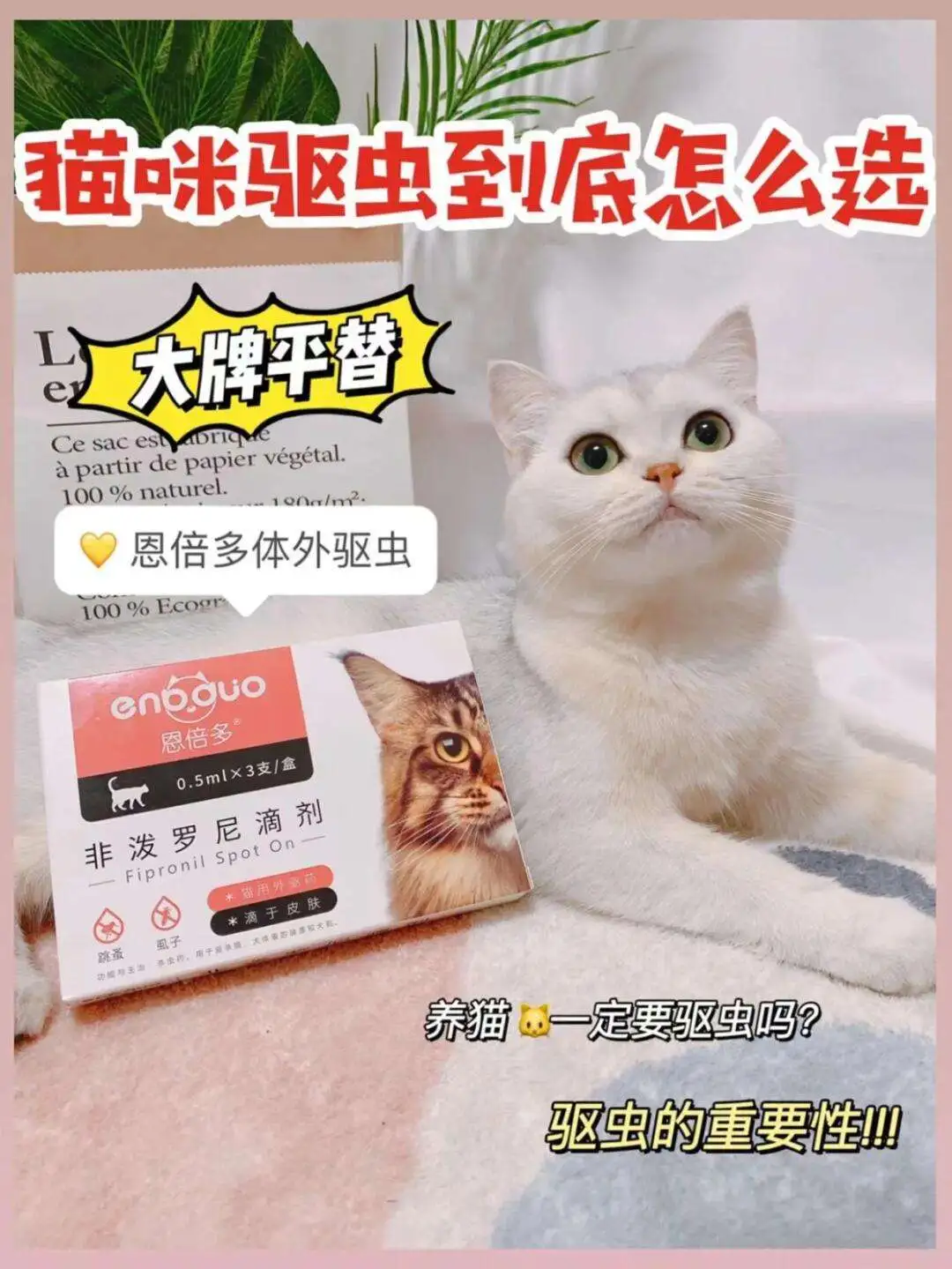 可以自己买药给猫驱虫吗(可以自己买驱虫药给猫吃吗)