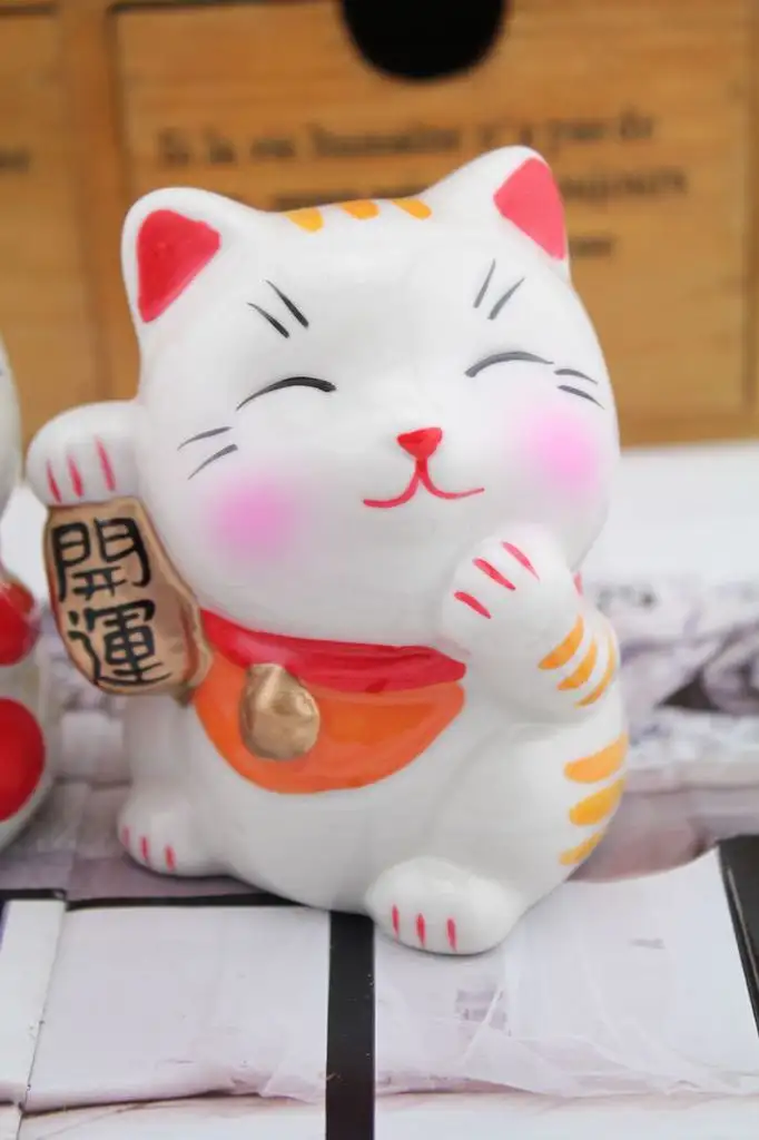 发财猫品种(发财猫叫什么名字)