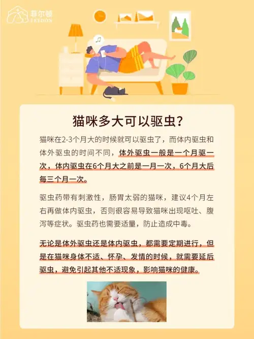 猫咪吃完打虫药有什么反应(猫猫吃了打虫药多久可以吃东西)