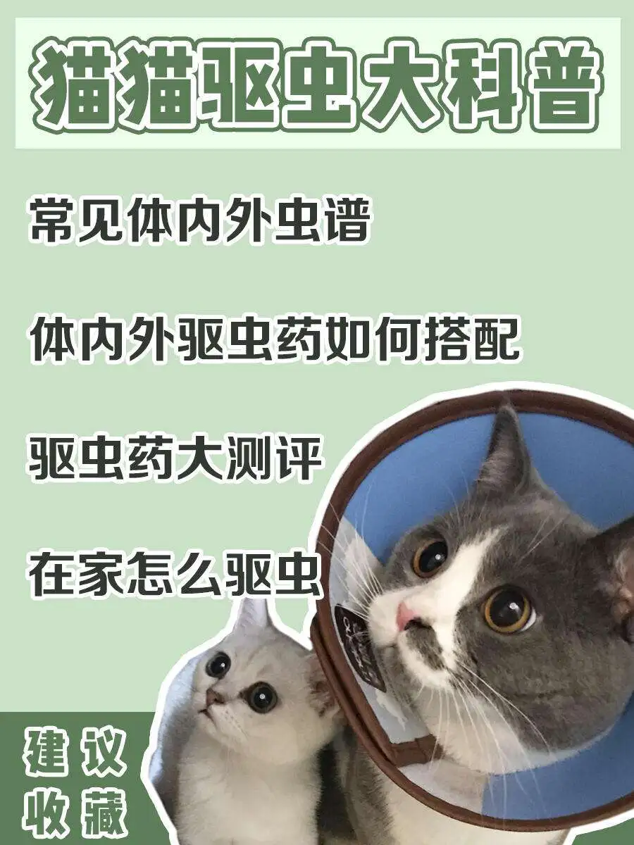 猫吃完打虫药什么反应(猫咪吃完打虫药有什么反应)