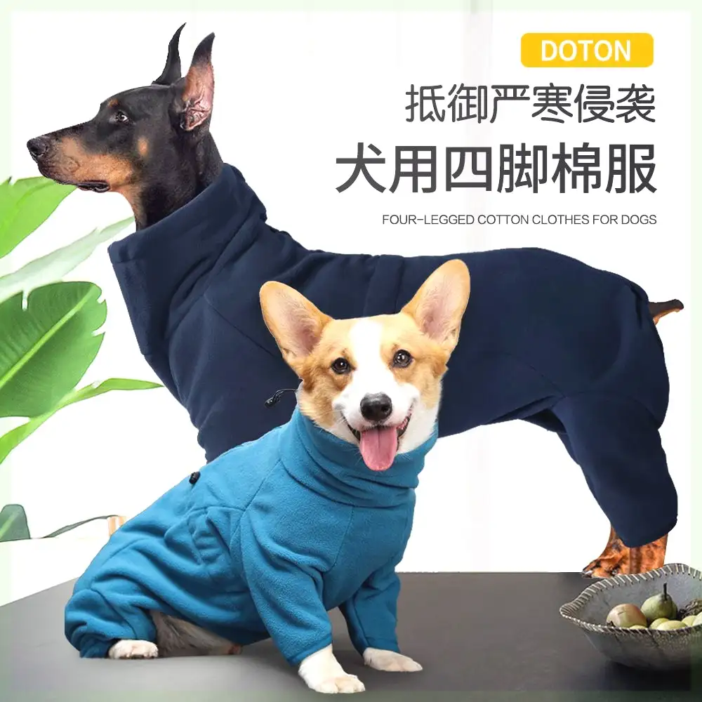 中型犬衣服(中型犬衣服得穿多大码)