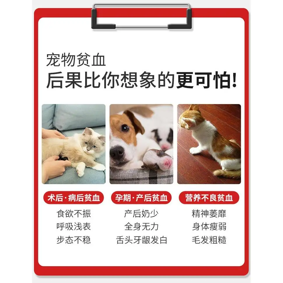 猫干性传腹原因(猫咪干性传腹能自愈吗)