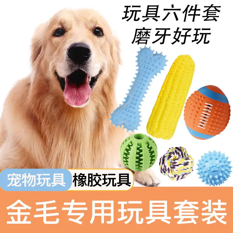 金毛小型犬(金毛小型犬品种)