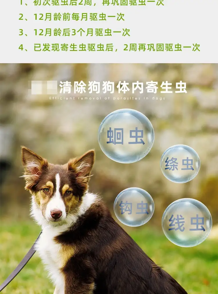 体内怎么驱虫狗狗(体内驱虫狗狗怎么吃)