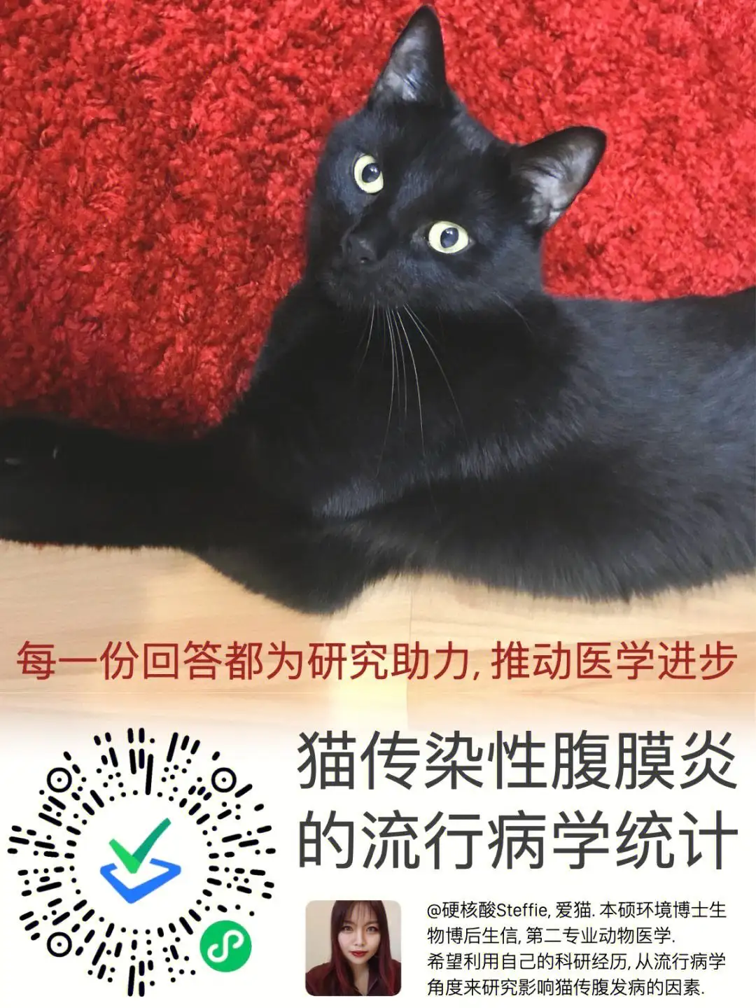 猫传腹发病期(猫传腹的发病率)