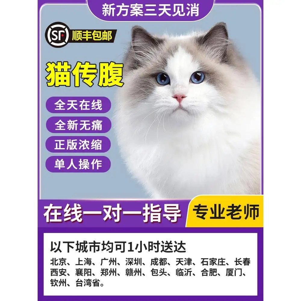 猫腹水一定是猫传腹吗(猫腹水会不会传染给其他猫)