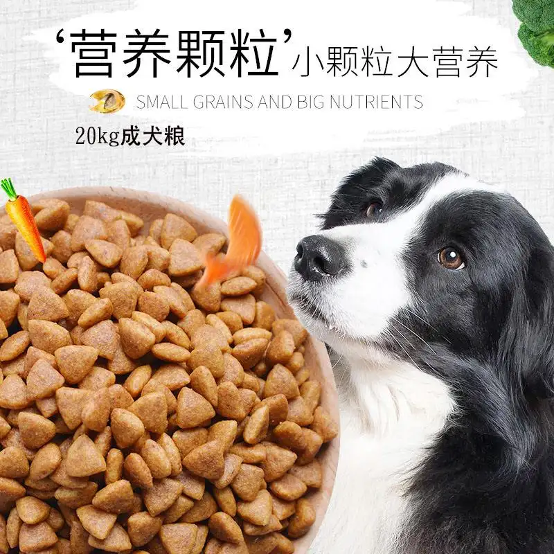 阿拉斯加犬狗粮(阿拉斯加每天喂多少狗粮)