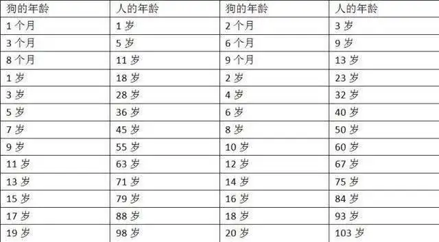 包含9年的狗狗相当于人的多少岁的词条