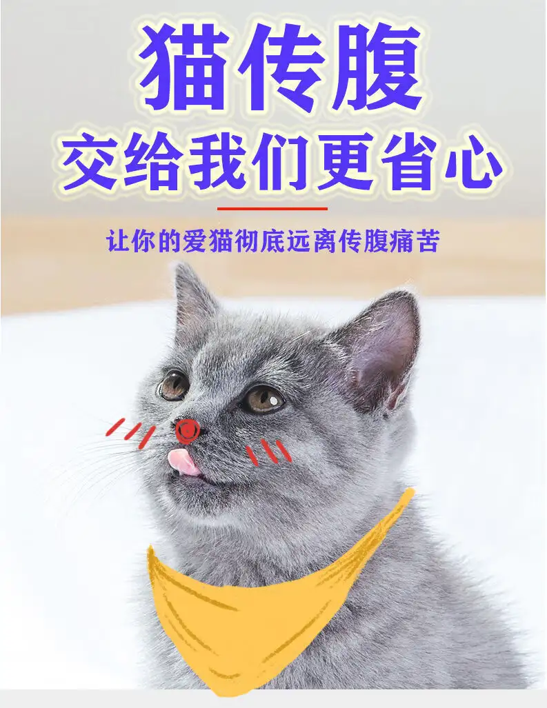 猫传腹康(猫传腹康复后有后遗症吗)