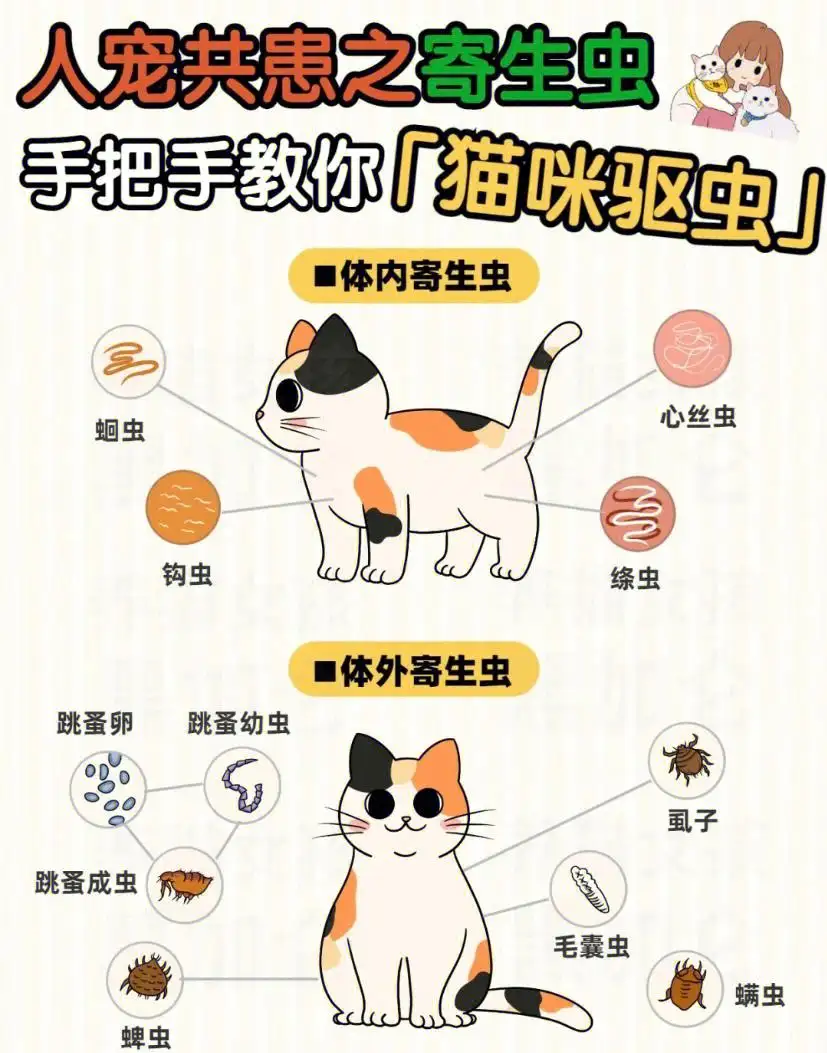 猫体内驱虫有什么好处(猫体内驱虫用什么药比较好百度贴吧)