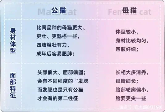 公猫与母猫的辨认方法(公猫与母猫的辨认方法图片)