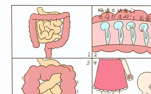 正常便秘怎么办(正常便秘是什么原因)