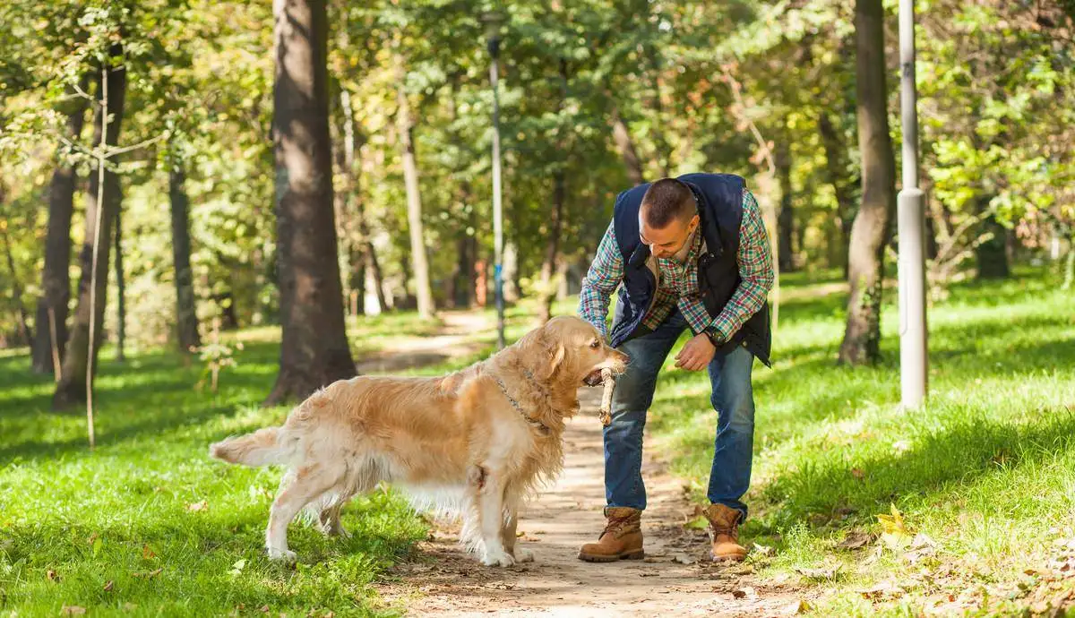 狗狗怀孕几个月生崽子(狗狗怀孕几个月能生宝宝)