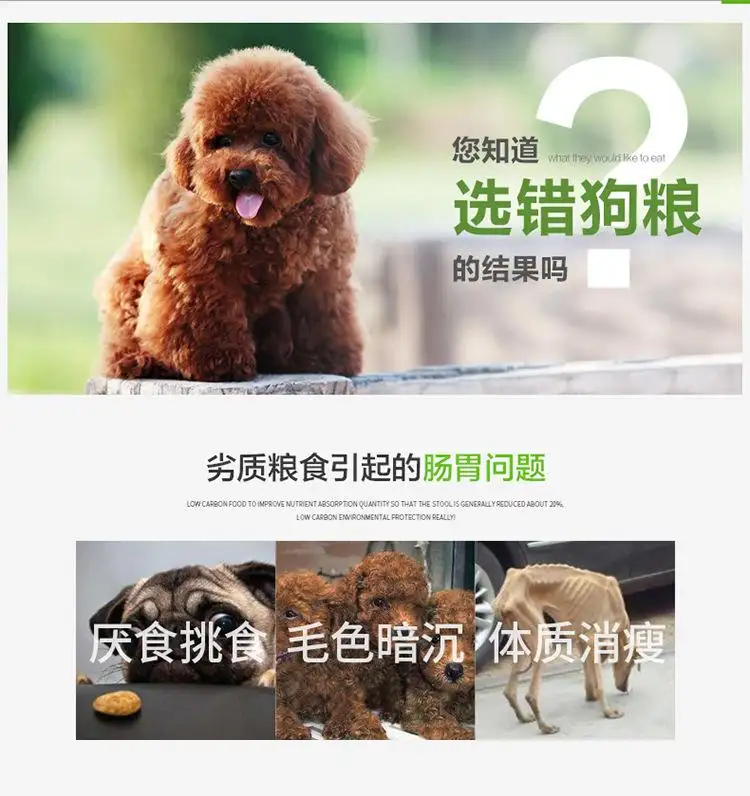 金毛吃什么品牌的狗粮比较好的简单介绍