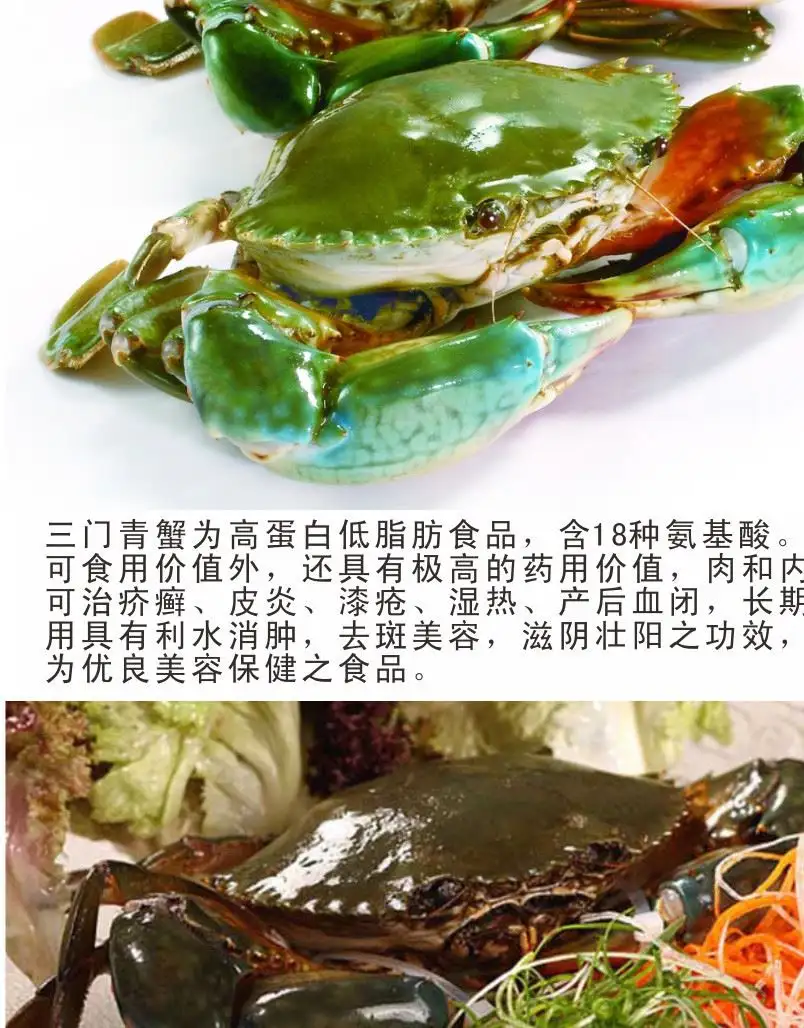 青蟹吃什么饲料(青蟹喜欢吃什么饵料)