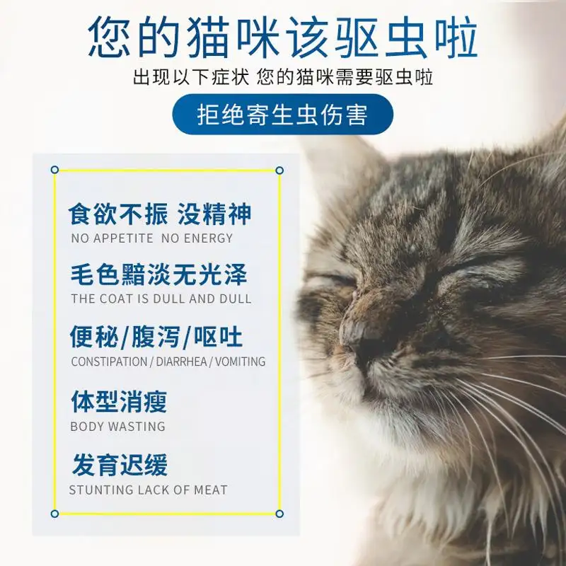 宠物猫体内驱虫哪种好(猫体内驱虫用什么药比较好百度贴吧)