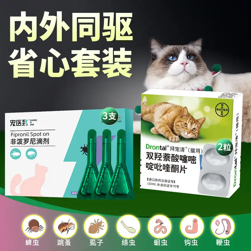 猫体内体外驱虫怎么做(宠物猫体内外驱虫怎么操作)