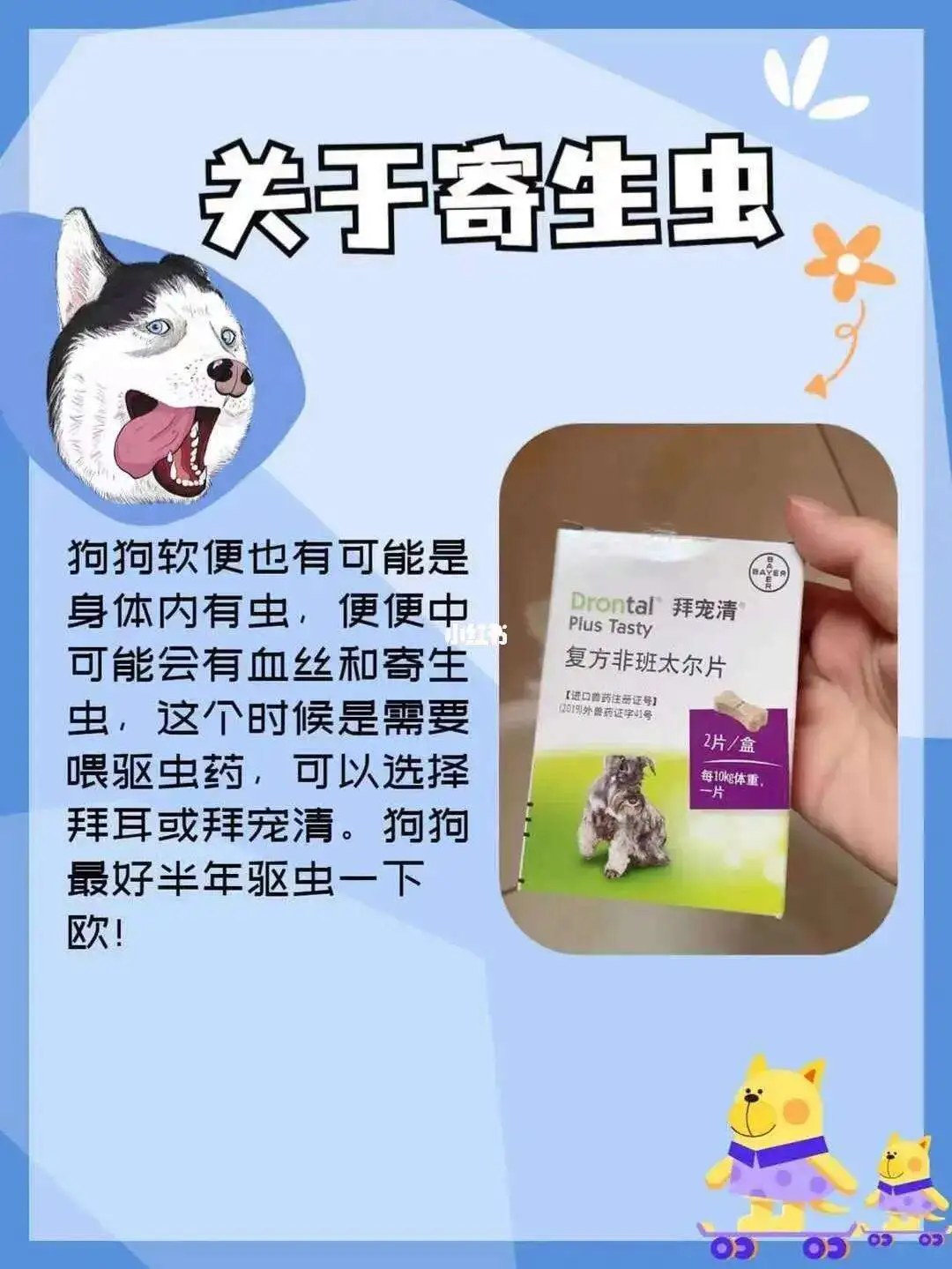 狗狗有点软便可以驱虫(狗狗有点软便可以驱虫吗)