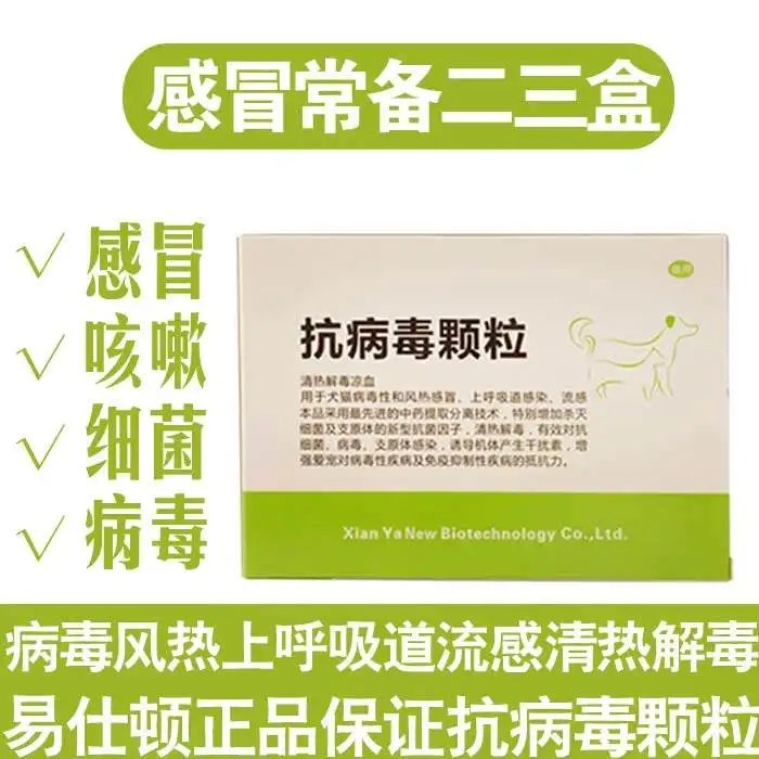 狗发烧咳嗽可以吃什么药(狗发烧咳嗽可以吃什么药治疗)