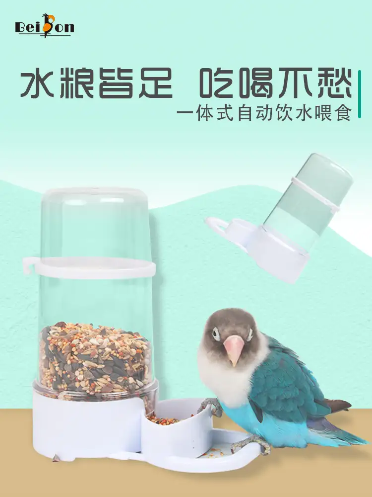 鹦鹉一般喂什么(鹦鹉一般喂什么水果蔬菜好)