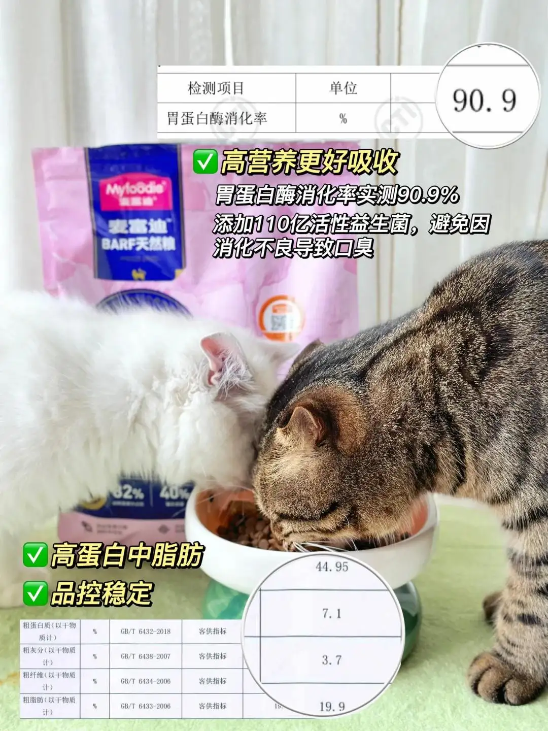 猫咪便秘怎么办便秘有哪些症状(猫咪便秘有什么症状,该怎么处理?猫咪常见病)