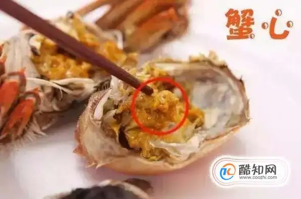 螃蟹什么地方能吃什么地方不能吃视频的简单介绍