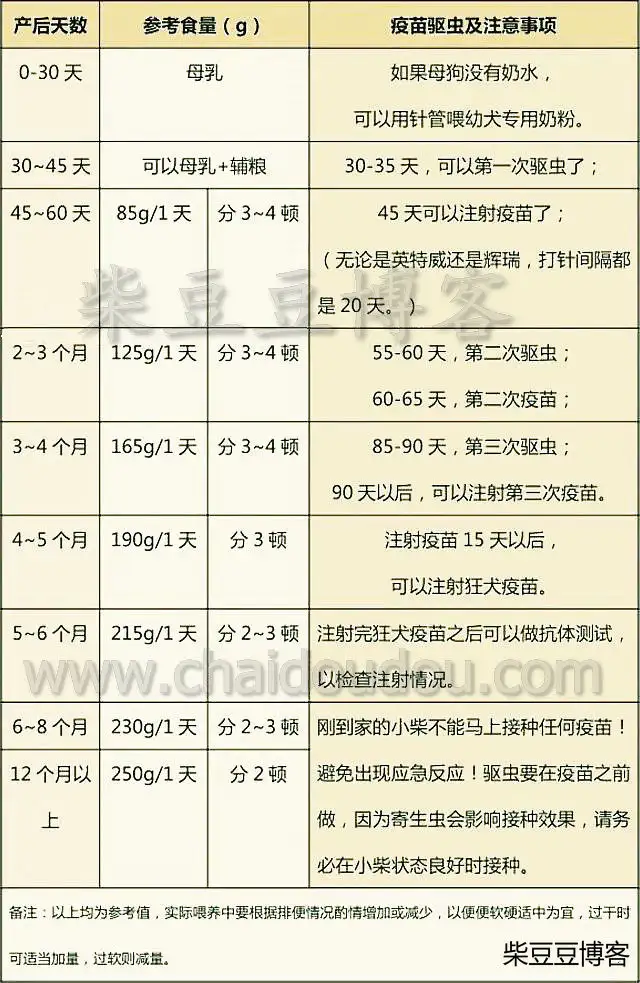 狗怀孕怎么驱虫(狗狗怀孕怎么驱虫药)