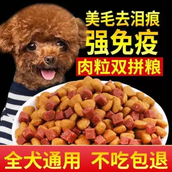 狗粮金毛金毛(马犬串土狗成年后图片)