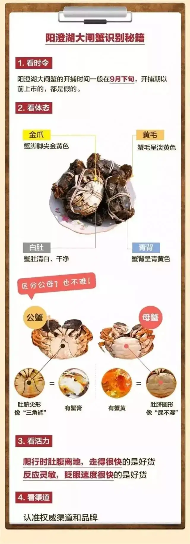 毛蟹吃什么怎么养活(毛蟹什么能吃什么不能吃)