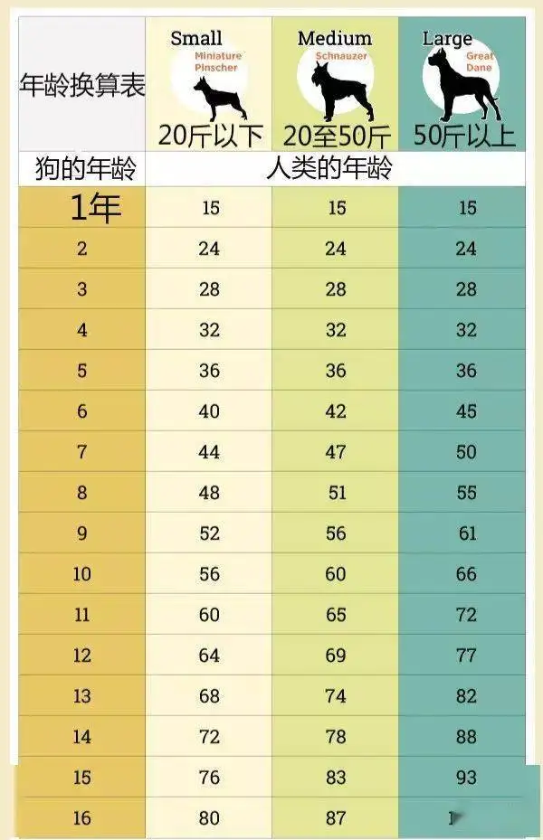 狗狗寿命一览表(狗狗智商排名1到100)