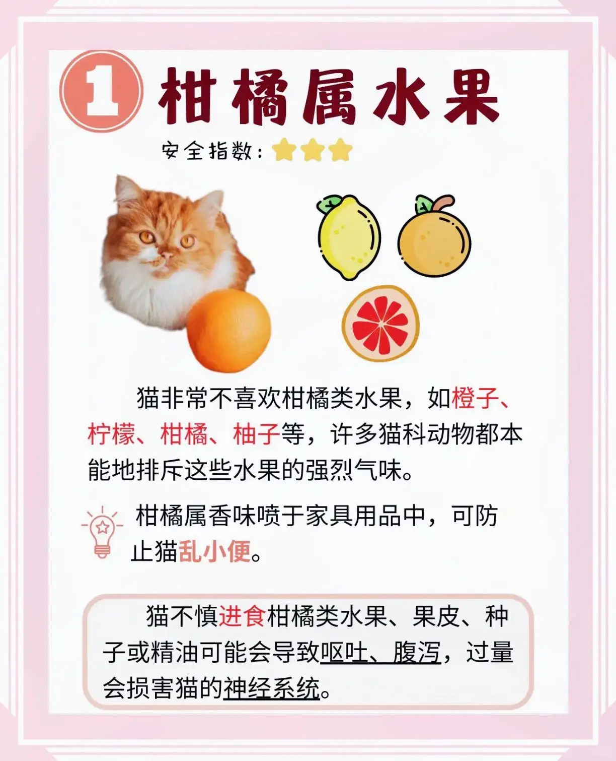 猫闻不了什么气味(猫为什么闻不了臭味)