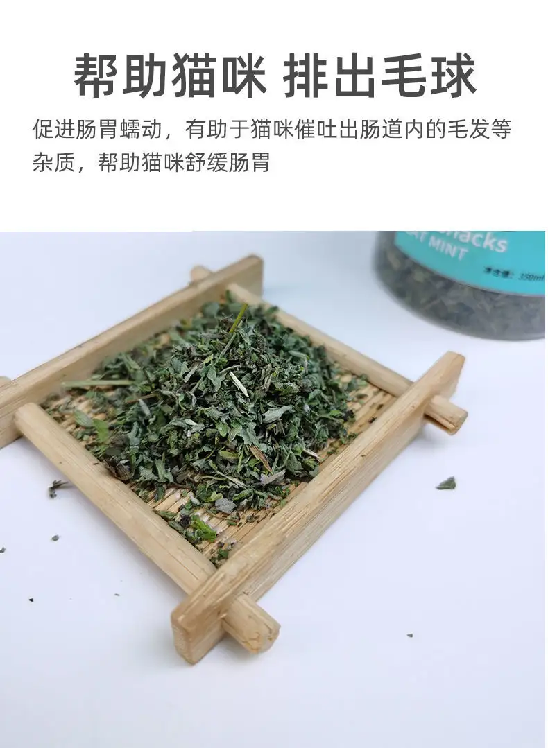 猫薄荷适合几个月大的猫(猫薄荷适合几个月大的猫用)