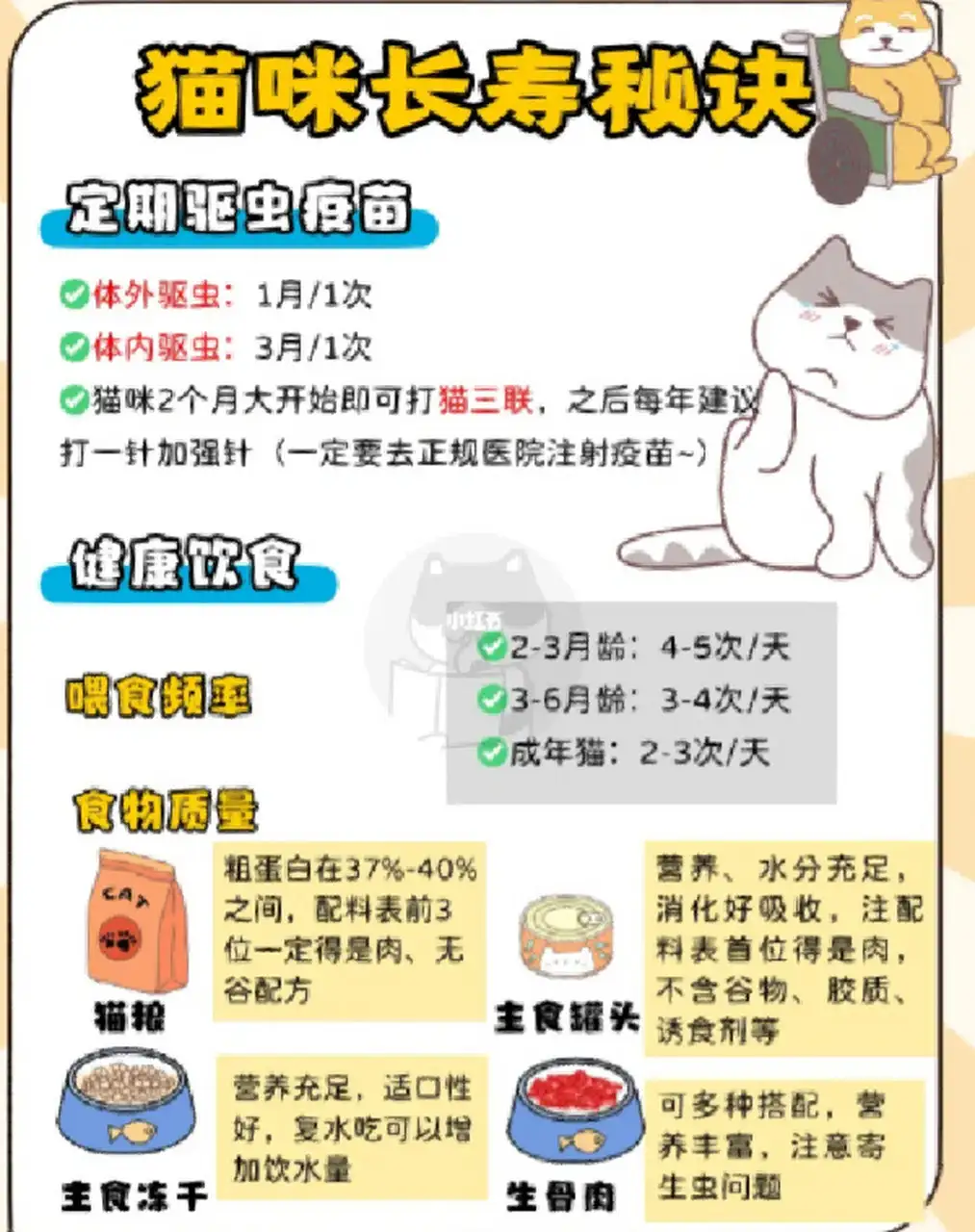 家养猫平均寿命(家养猫平均寿命多少年了)