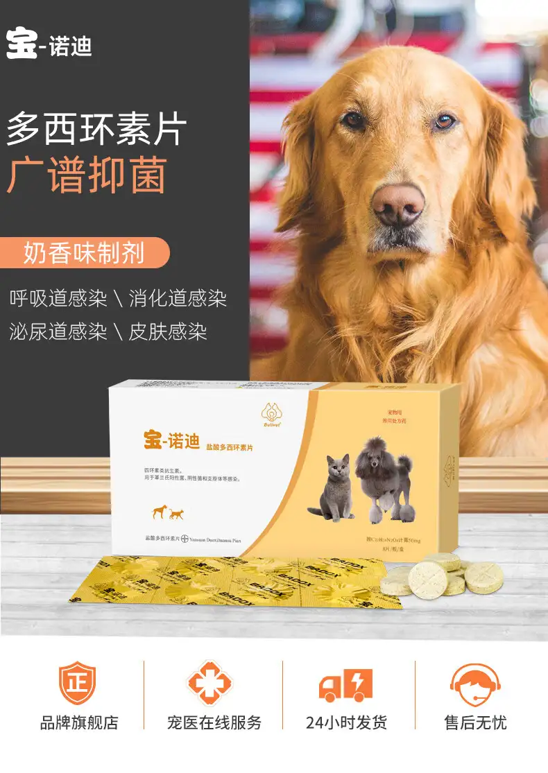 狗狗感冒着凉吃什么药好得快(狗狗感冒着凉吃什么药好得快点)