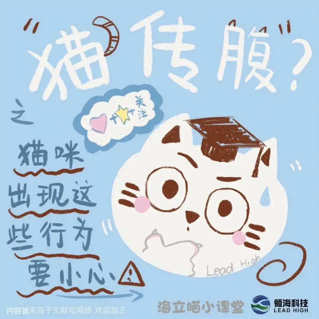 猫传腹是否会传染(猫传腹是否会传染给人)