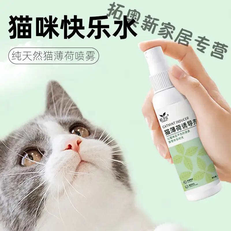 猫薄荷泡水给猫喝(猫薄荷泡水给猫喝会怎么样)