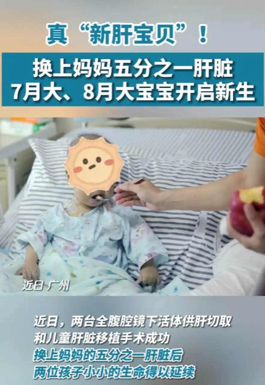 换一个肝能活多少年(如果换肝是换一个还是半个肝)