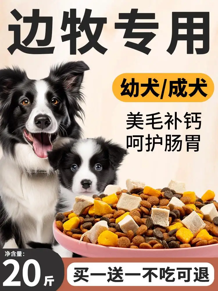 边境牧羊犬价格边境牧羊犬多少钱(边境牧羊犬价格 边境牧羊犬多少钱)