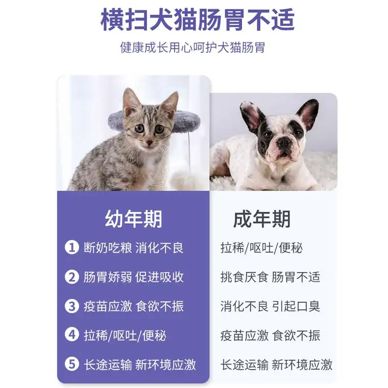 猫咪便秘吃什么?(猫咪便秘吃什么改善)