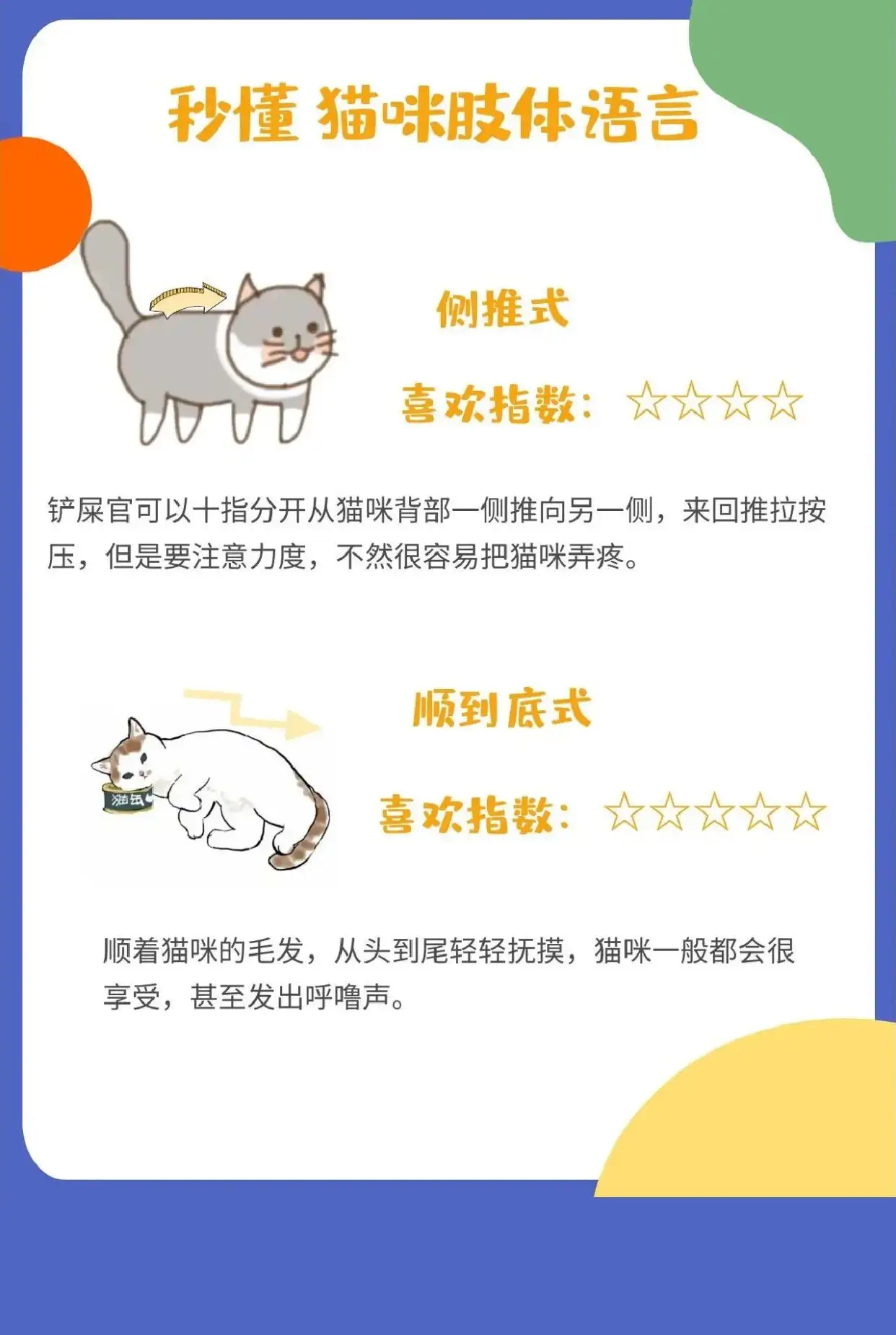 猫最怕什么气味(猫最怕什么气味?)