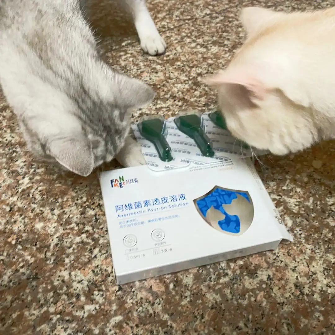 猫咪驱虫外用药被猫舔了(猫咪驱虫外用药被猫舔了会怎么样)