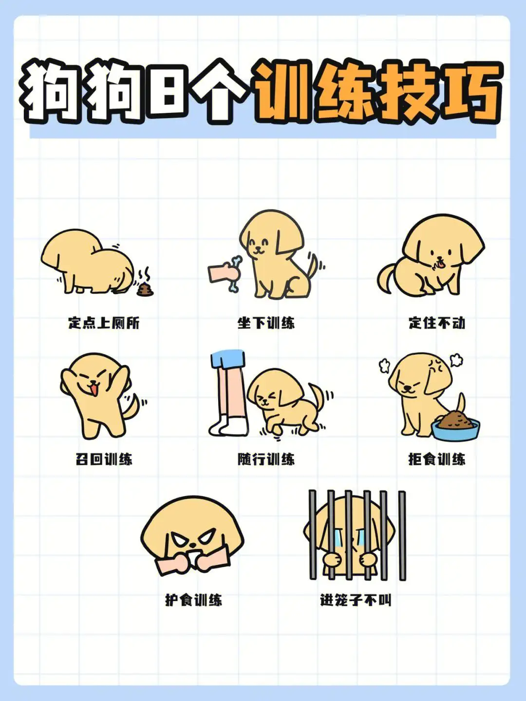 怎么养拉布拉多犬幼犬(怎么养拉布拉多犬幼犬呢)