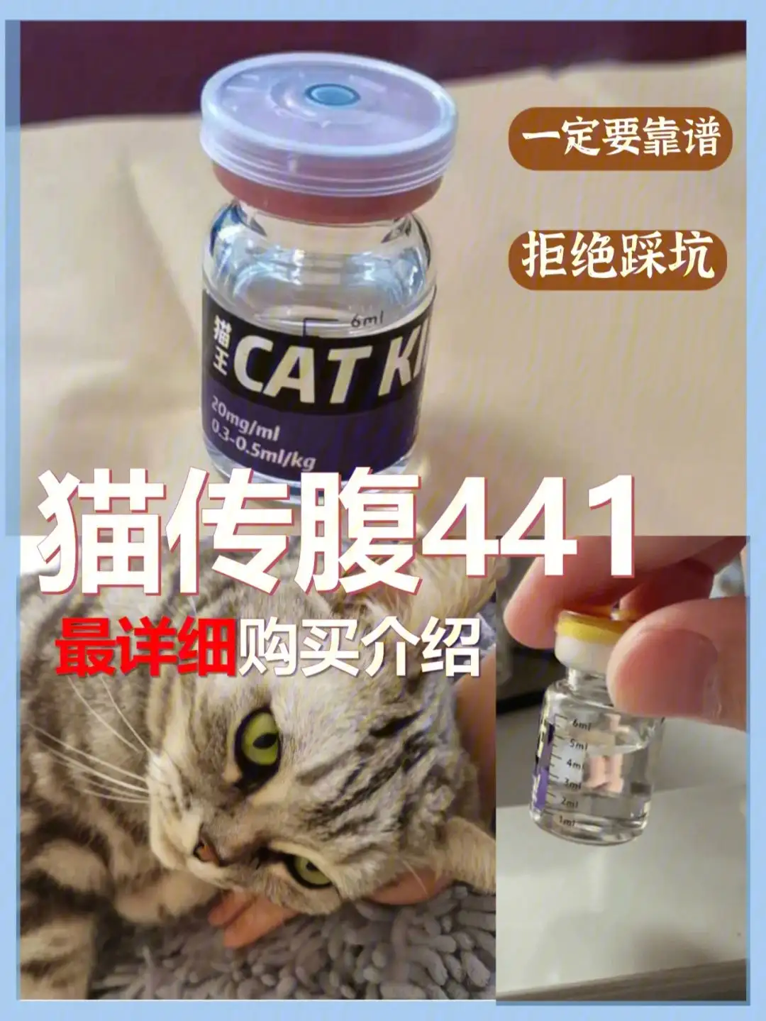 治疗猫传腹的441(治疗猫传腹的441打多少天)